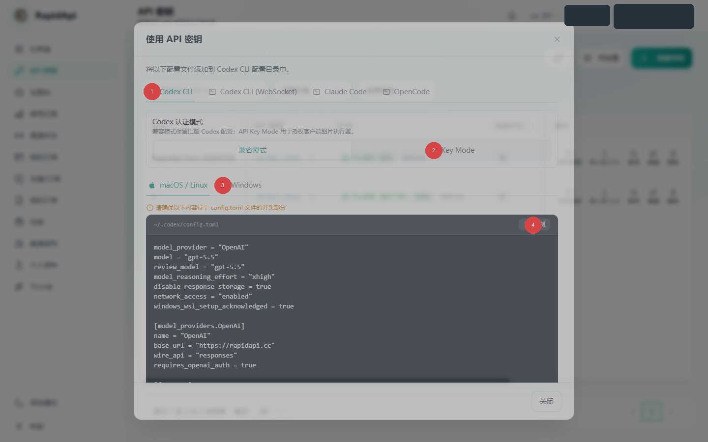RapidApi Codex CLI 配置弹窗